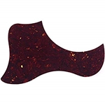 Taylor Pickguard 5.5" Tort