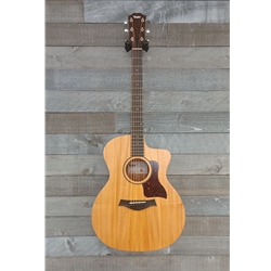Taylor 24CE