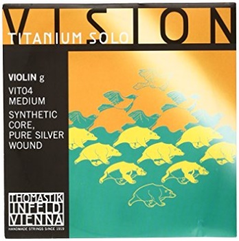 Vision Titanium Solo Silver Wound Violin G String