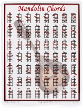 Walrus Mandolin Chord Laminate