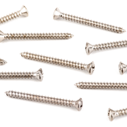 Fender Neck bolt screws - 8 x 1 3/4 - 12 Pack