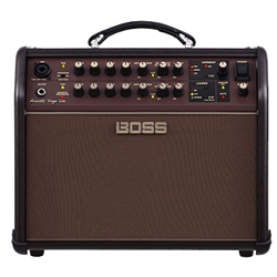 Roland ACS-Live Acoustic Singer Live Amp