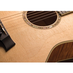 Taylor Static Pickguard