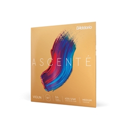 D'Addario Ascente Violin Set - 3/4