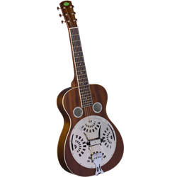 Regal RD-30MS Squareneck