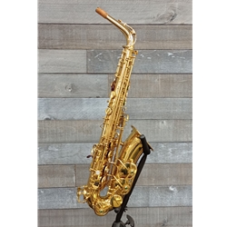 Yanagasawa A-800 Alto Sax - Used